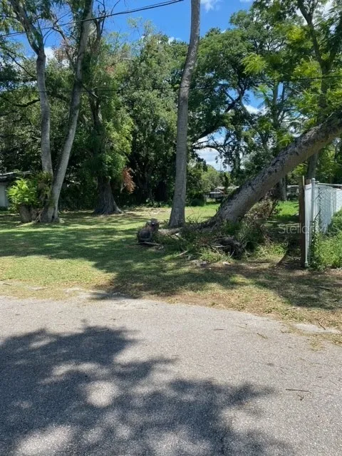 3100 EUNICE AVENUE, Orlando, FL 32808