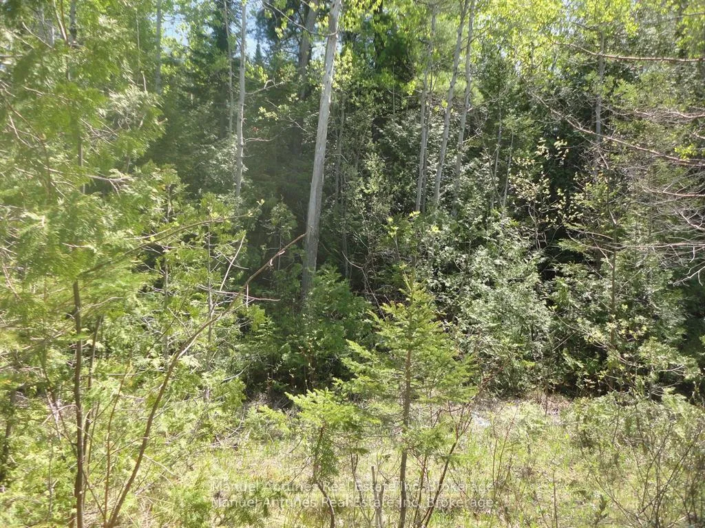 Lot 53 Bay Sands Drive, Wasaga Beach, ON L9Z 1V1