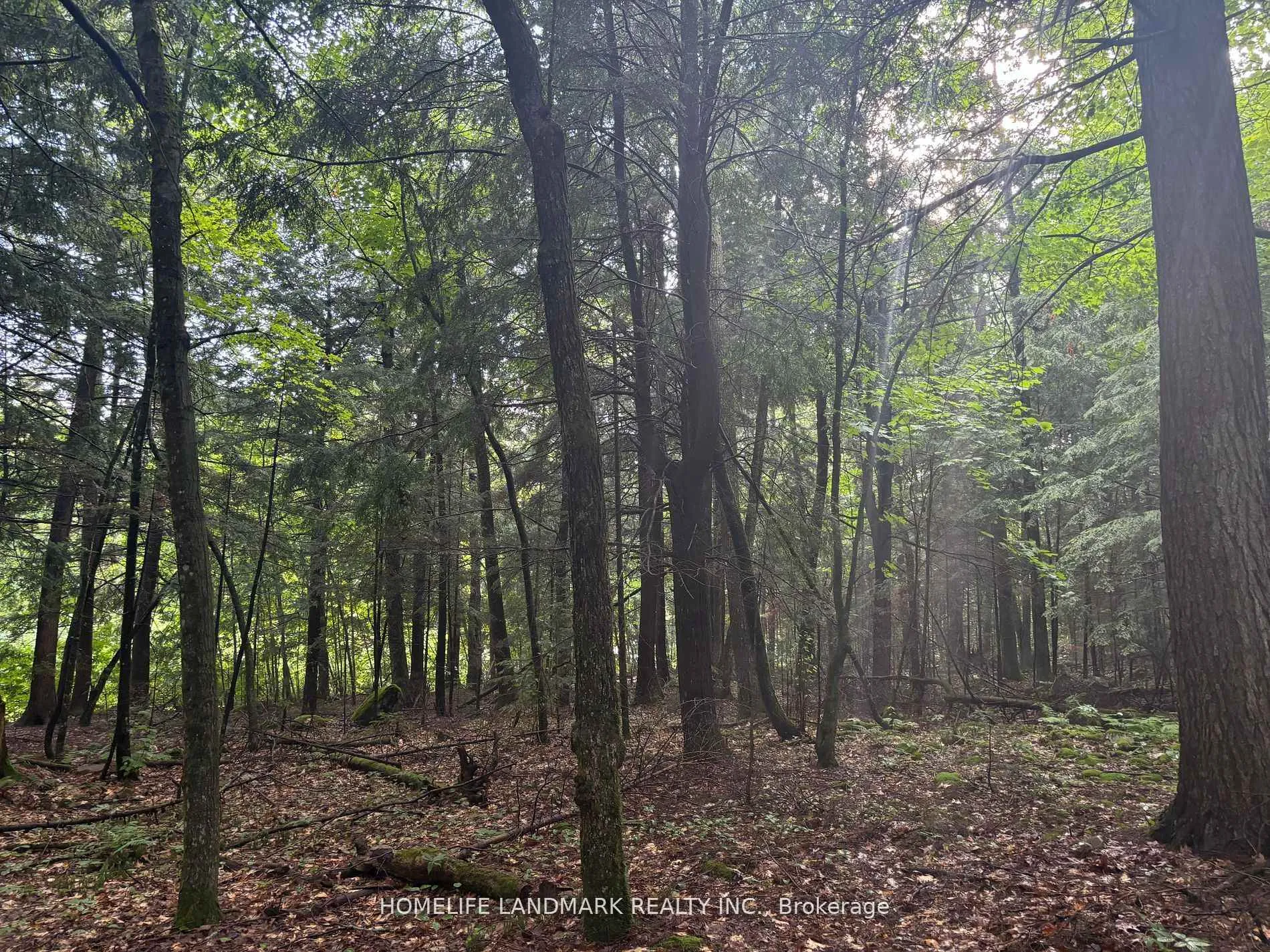 153 Acres Parcel 18476 N/A, Timmins, ON P4N 2C7