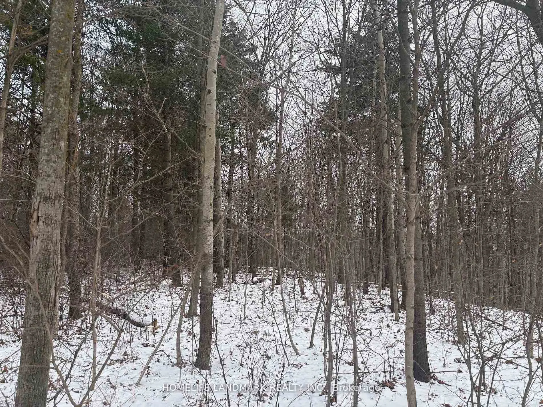 LT 45 CON 7 EBR LINDSAY N/A, Northern Bruce Peninsula, ON N0H 1Z0