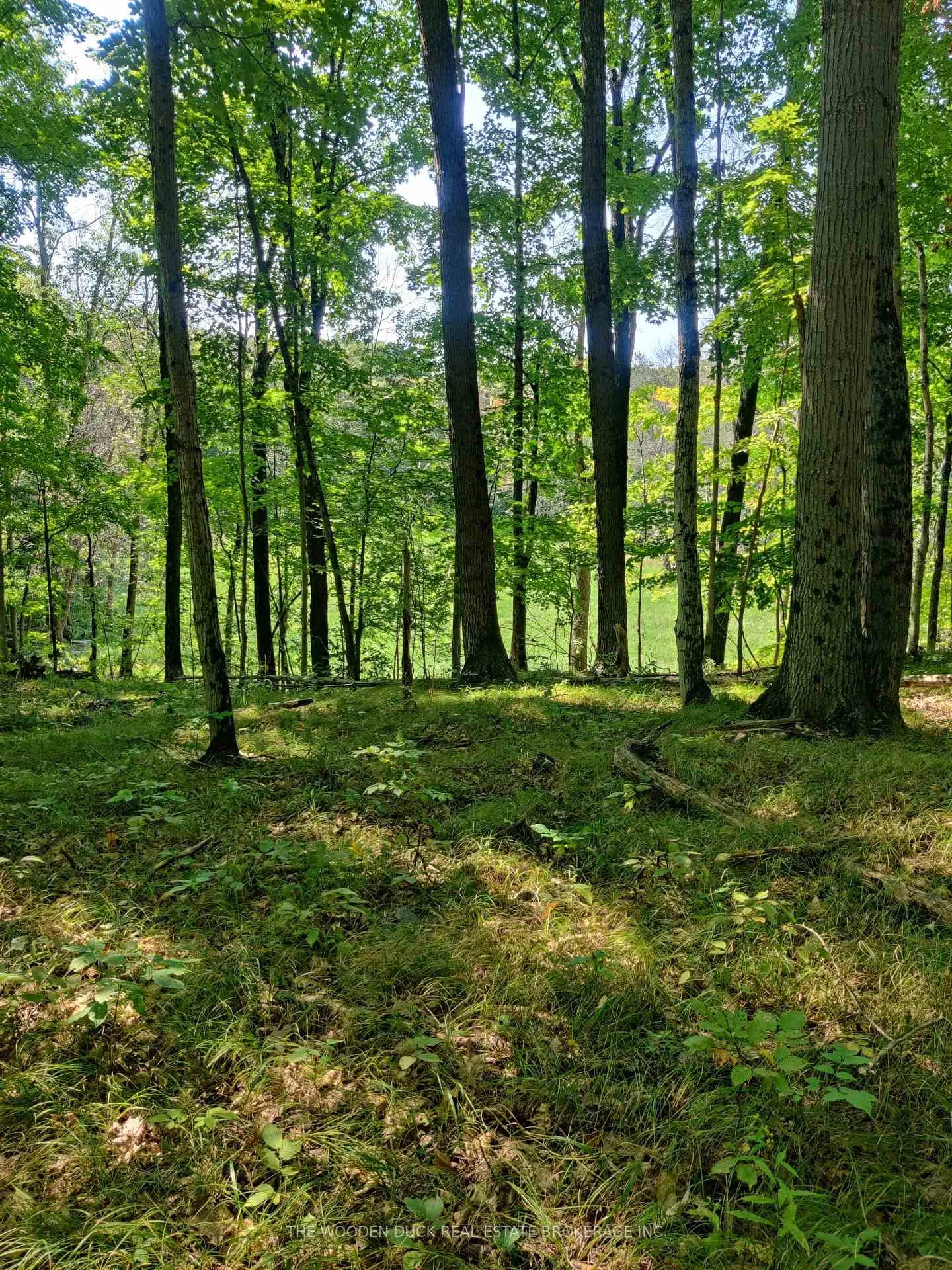 0East2 Road allowance Road, Havelock-Belmont-Methuen, ON K0L 1Z0